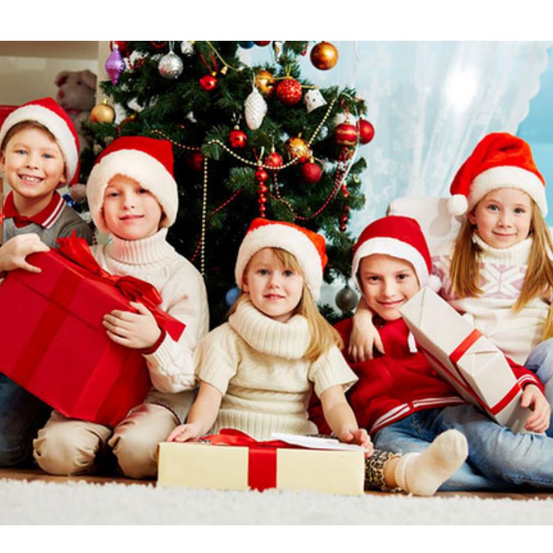 Plüsch-Weihnachtsmütze für Erw – Santa Hat Plush Bewertung und Preis